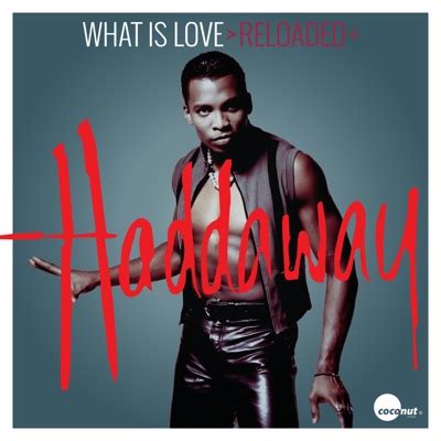 what is love club mix|Haddaway .